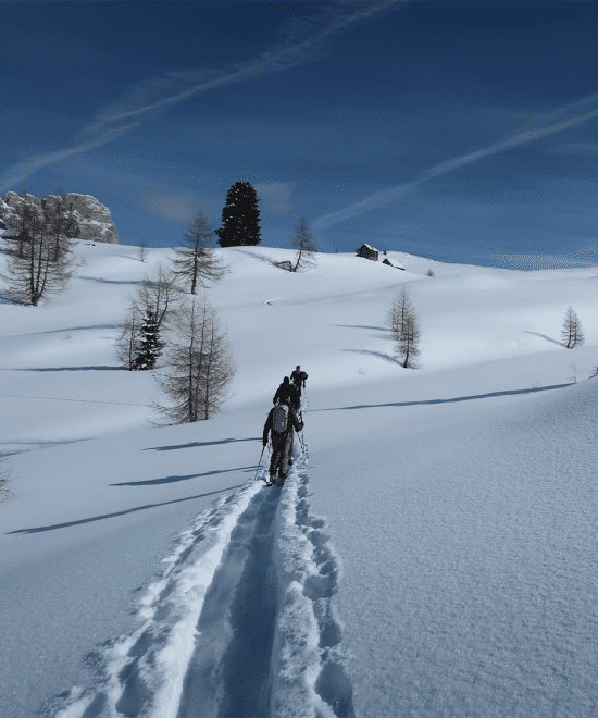 Alpinismo