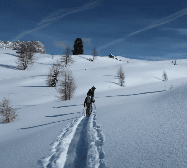 Salita, neve