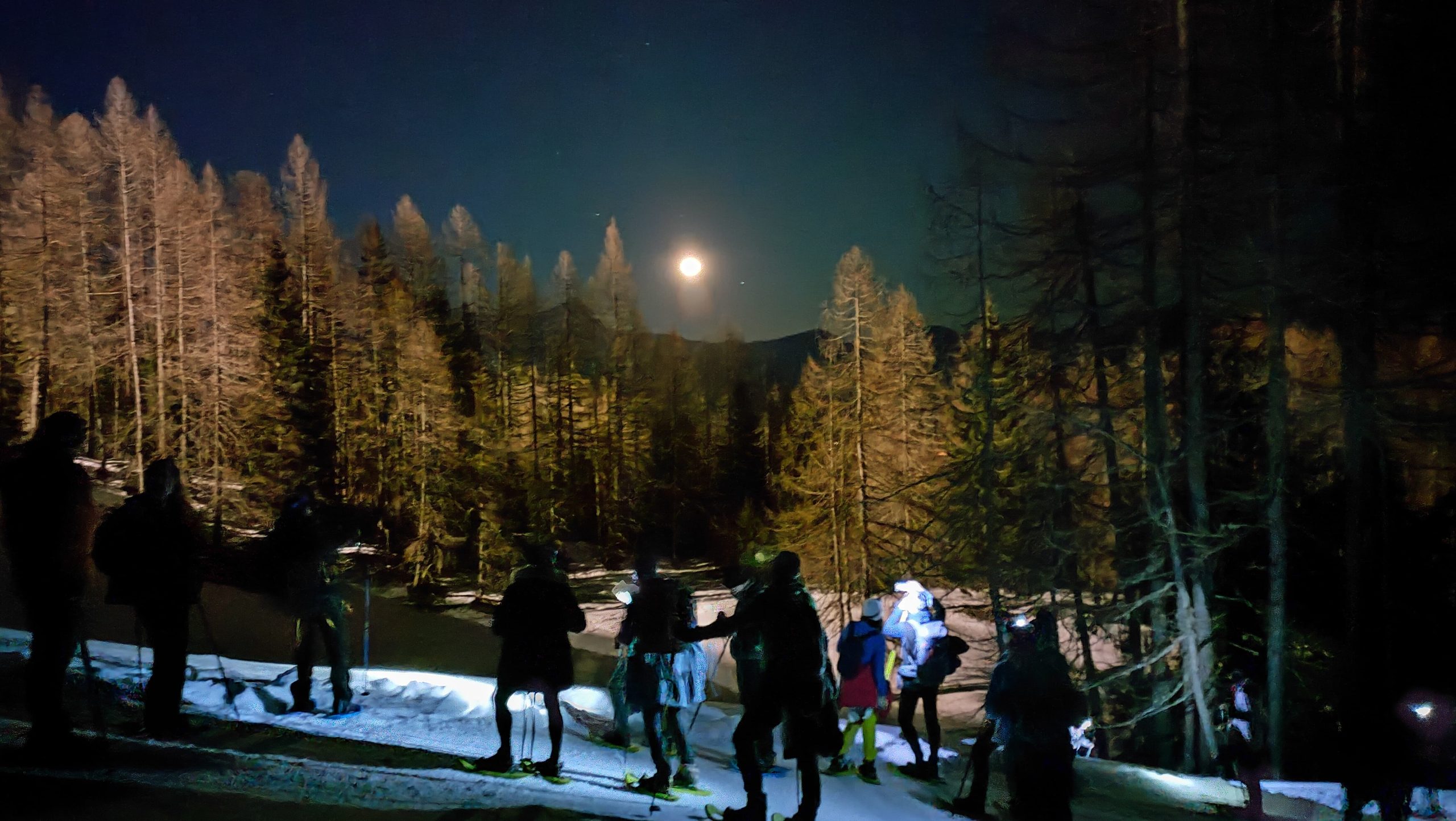 Ciaspolate sotto le stelle